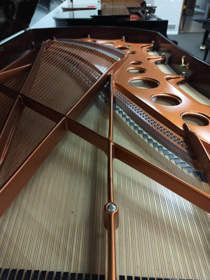 Bosendorfer 290 Imperial Concert Grand w/CEUS Reproducing Player System - ONLINE INVENTORY Call for Availability