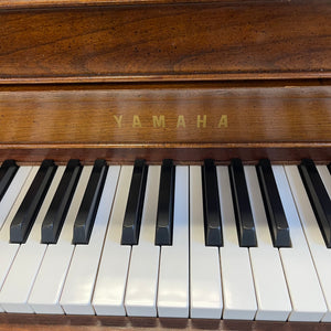 Yamaha M305 (44'')