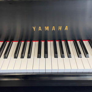 Yamaha GH-1 (5'3'')