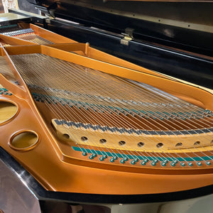 Bosendorfer Model 225 (7'4'')   92 keys