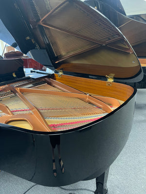 Cristofori  G54 (5'4")  Baby Grand w/ PianoDisc Player System