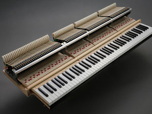 Kawai GL-10 (5')