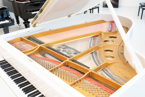 Steinway O 180 (5'10") - 1922 ONLINE INVENTORY Call for Availability