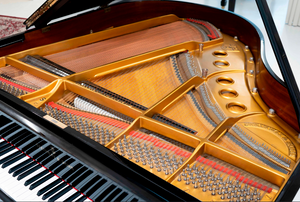 Steinway S 155 (5'1") - 1967 ONLINE INVENTORY Call for Availability