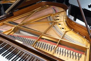 Steinway B-211 (6'11") - 1974 ONLINE INVENTORY Call for Availability