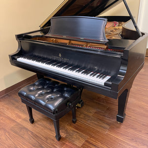 Steinway & Sons Model D 9'