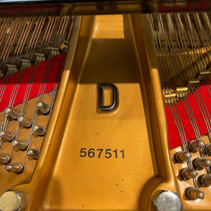 Steinway & Sons Model D 9'