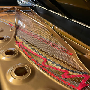 Steinway & Sons Model D 9'