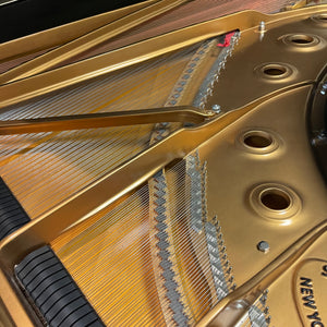 Steinway & Sons Model D 9'