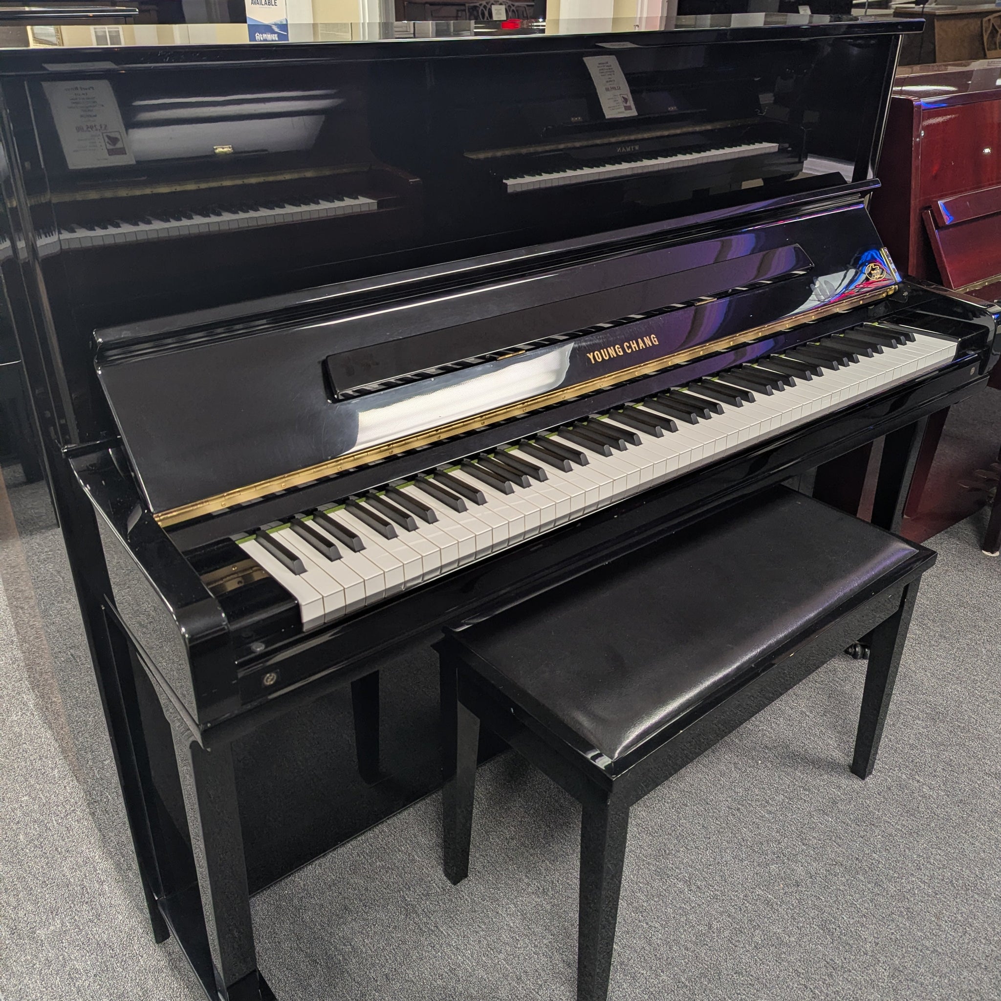 Young Chang Pramberger Edition PE-121 (48")