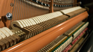 Hailun Upright Piano Northwest Pianos.