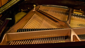 Hailun Grand Piano Northwest Pianos.