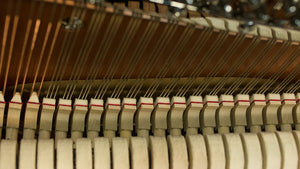 Hailun Upright Piano Northwest Pianos.