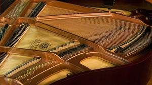 Hailun Grand Piano Northwest Pianos.