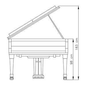 FAZIOLI F156 (5'2")