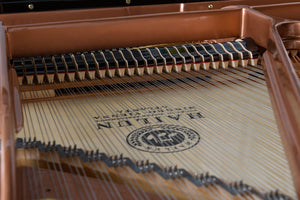 Hailun Grand Piano Northwest Pianos.